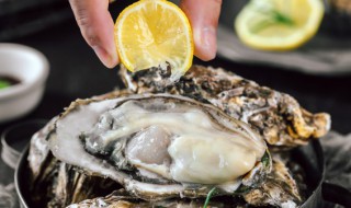 牡蛎暂时不吃怎么保存 牡蛎暂时不吃的保存方法