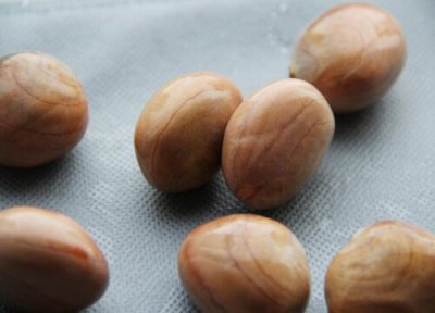 菠萝蜜的核可以吃吗 菠萝蜜的核要煮多久才能煮熟吃