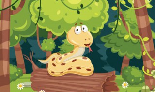 属蛇在2023年运势 属蛇在2023年的运势怎么样