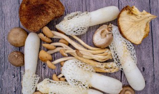 竹荪颜色变黄还能吃吗 竹荪变黄了能否吃呢