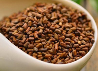 决明子播种时间 决明子什么时候播种合适