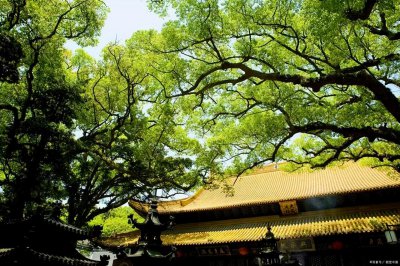 宁波去普陀山最快方法 宁波怎么去普陀山几种路线