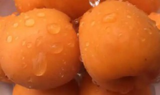 杏能放冰箱冷冻吗 杏能不能放冰箱冷冻