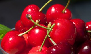 樱桃怎么保鲜效果最好 樱桃的保鲜方法介绍