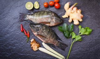 如何做鲤鱼好吃又简单 怎样做鲤鱼好吃又简单