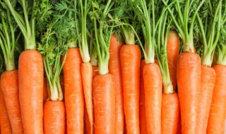 胡萝卜有什么功效 胡萝卜有哪些功效
