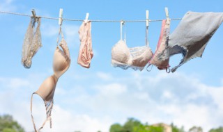 内衣什么是通杯 内衣通杯是什么意思