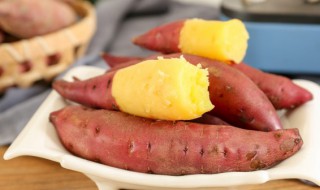 冬天什么地方适合种植红薯 冬天种植红薯需要注意哪些事项