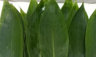 没有粽叶可以用什么代替 可以代替粽叶的有哪些