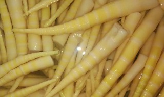 竹笋在水里能泡几天发芽 竹笋在水里泡几天可以发芽