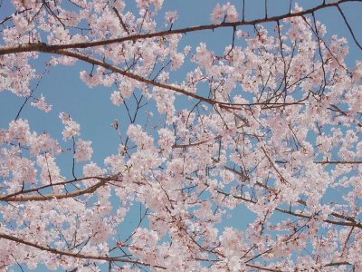 处座女喜欢男生会主动吗 处女座女生喜欢上一个男生的表现