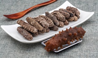 海参卵如何储存保鲜方法 海参泡发后如何保存