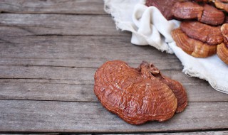 怎么辨别灵芝孢子粉的好坏 灵芝孢子粉的好坏区分教程