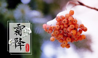 霜降后能钓鱼吗 霜降后可以钓鱼吗