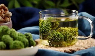 三七花的功效是什么 三七花的功效简单介绍