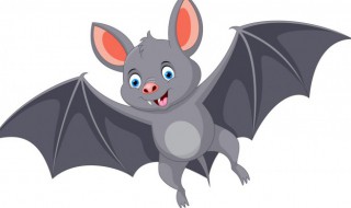 蝙蝠有毒吗 蝙蝠是否有毒