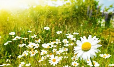 夏天最高气温多少度 今年夏季最温度能够达到50℃吗