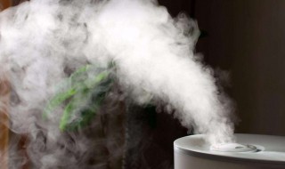 如何挑选好的空气加湿器 空气加湿器的选购方法