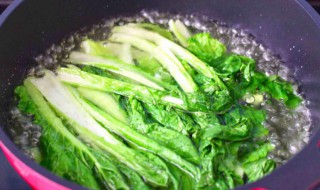 小白菜要焯水吗 小白菜是否需要焯水