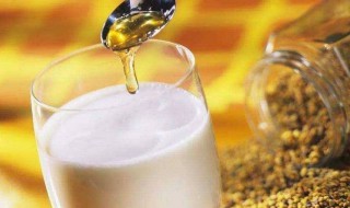 纯牛奶加蜂蜜喝有什么好处 纯牛奶加蜂蜜喝的好处介绍