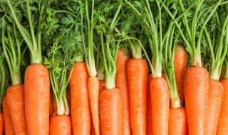 胡萝卜怎么保存才新鲜 胡萝卜如何保存才新鲜好吃