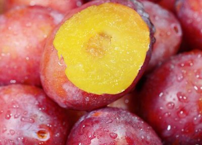 梅子什么季节成熟 上市的时间是几月份