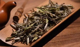 新鲜白茶存放方法 新鲜白茶如何存放最佳