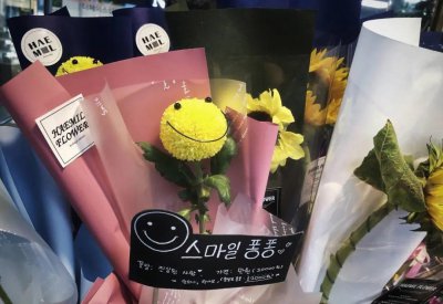 韩国旅游三天的攻略 到韩国三日游旅游线路行程安排推荐