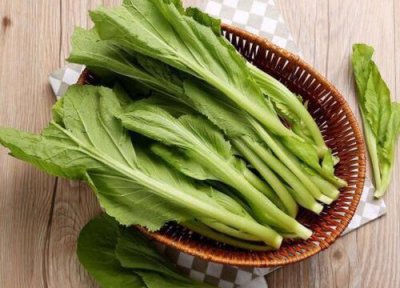 南方蔬菜有哪些 中国南方特蔬菜品种名称及图片