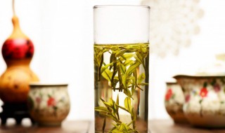 怎样喝绿茶减肥 如何喝绿茶有减肥效果