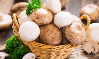 大红菇和毒红菇的区别 真红菇和毒红菇的区别