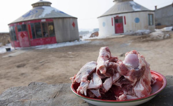 地笼捕鱼用什么饵料最好