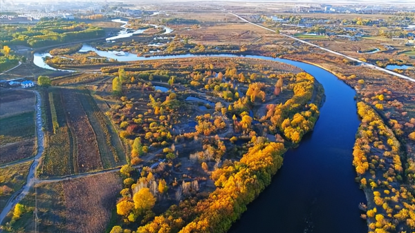 牙克石是哪个省的城市