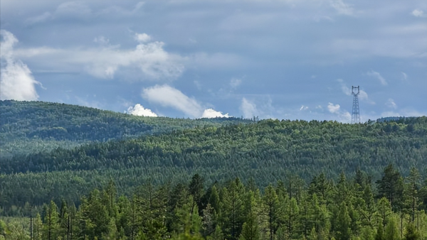 牙克石是哪个省的城市