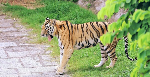 深圳适合小孩子玩的地方有哪些