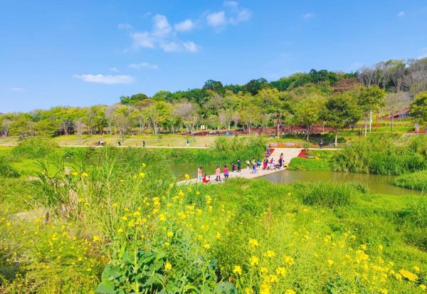 深圳适合小孩子玩的地方有哪些