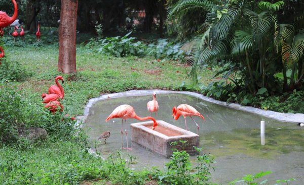 深圳适合小孩子玩的地方有哪些