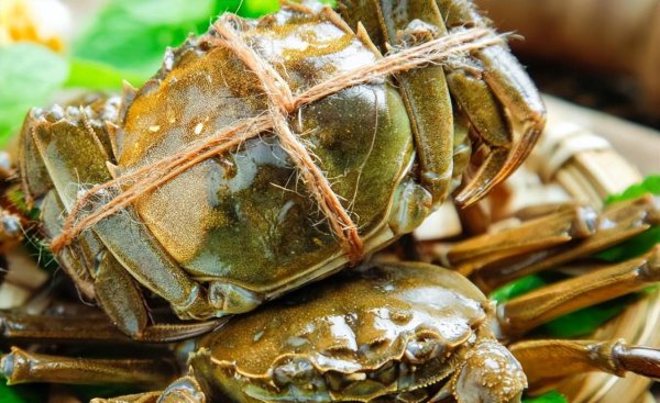 阳澄湖大闸蟹几月份最好吃膏是结块