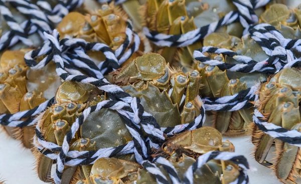 阳澄湖大闸蟹几月份最好吃膏是结块