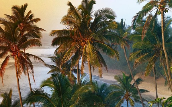 天蝎座和天秤座配吗