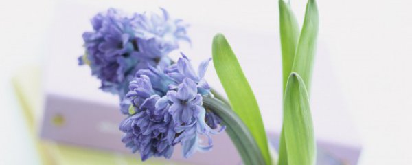 努力励志的句子短句