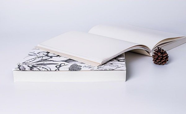 考研最没用的十大专业