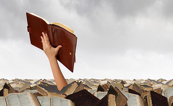 考研最没用的十大专业