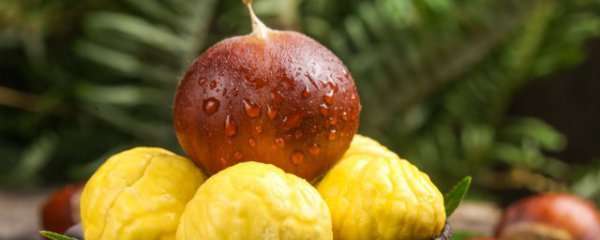 怎样挑选板栗肉好吃