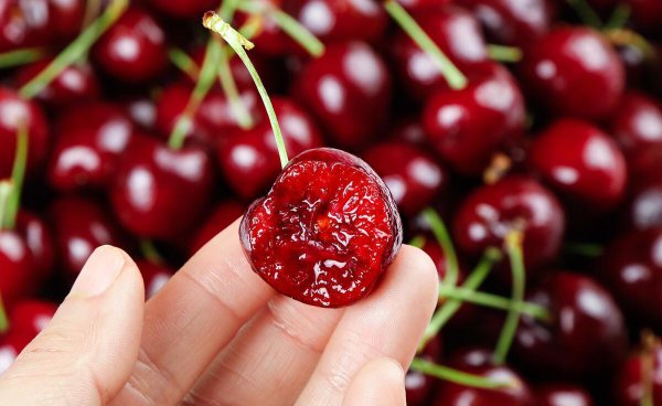 车厘子的种子可以种吗