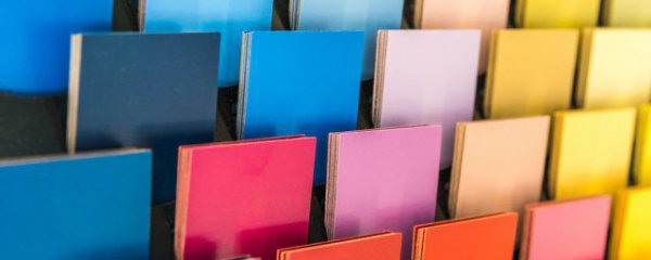 bv绿是什么意思