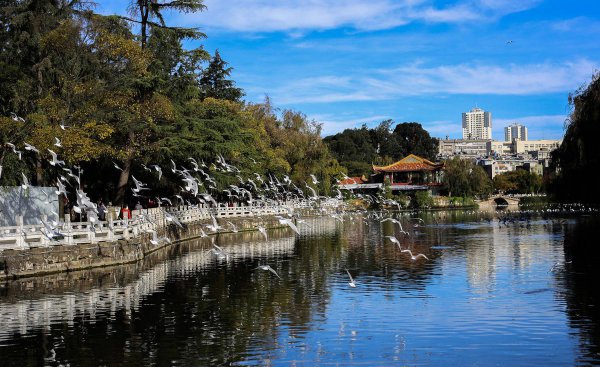 昆明属于几线城市