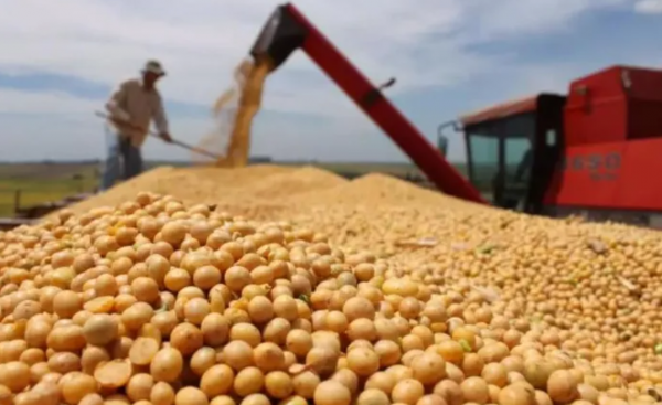 全球四大粮商排名