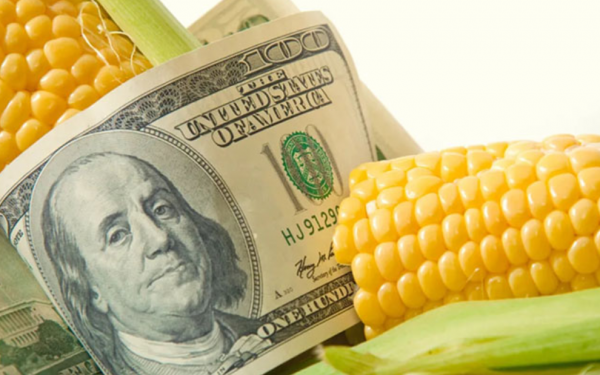 全球四大粮商排名