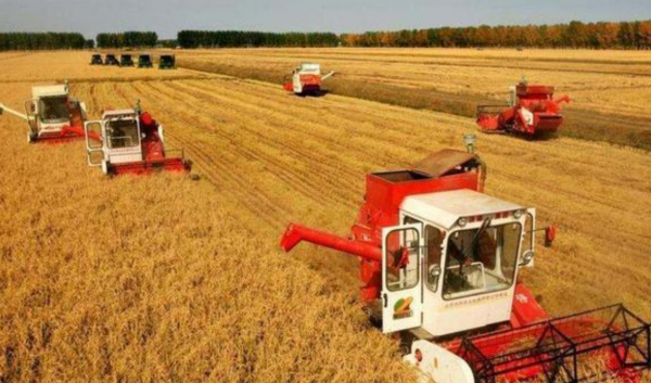 全球四大粮商排名